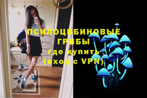 круглые Алексин